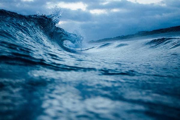 Electric Vehicles: The New Normal